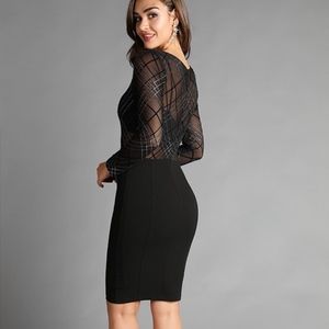 Sheer Bodice Long Sleeve Dress
